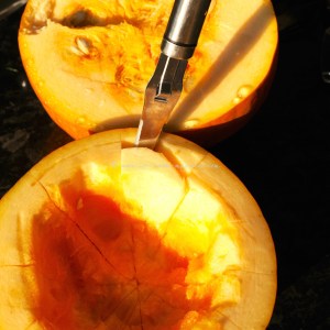 pumpkin ice cream © www.ice-cream-magazine.com