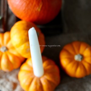 pumpkin ice cream © www.ice-cream-magazine.com