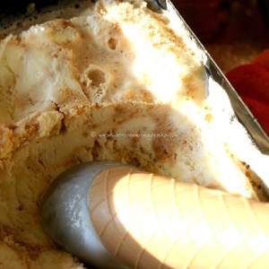 pumpkin ice cream © www.ice-cream-magazine.com