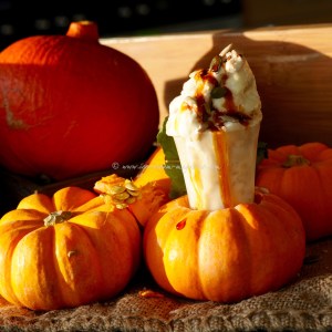 pumpkin ice cream © www.ice-cream-magazine.com