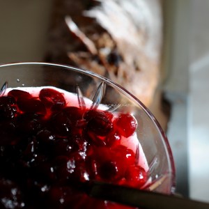 cranberries in syrup © www.ice-cream-magazine.com