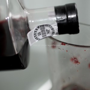 cranberry, port and beetroot sorbet © www.ice-cream-magazine.com