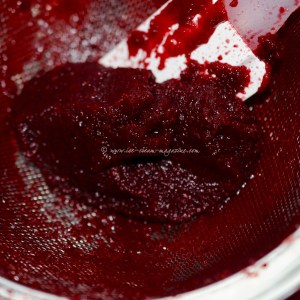 cranberry, port and beetroot sorbet © www.ice-cream-magazine.com