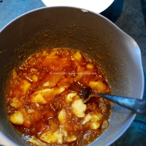 spiced caramel custard ice cream © www.ice-cream-magazine.com