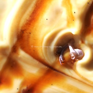 rosemary/date/ caramel custard ice cream © www.ice-cream-magazine.com