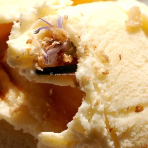 spiced caramel custard ice cream © www.ice-cream-magazine.com