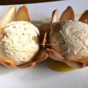 spiced caramel custard ice cream © www.ice-cream-magazine.com