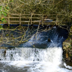 spiced caramel custard ice cream © www.ice-cream-magazine.com