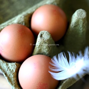 lemon meringue parrot © www.ice-cream-magazine.com