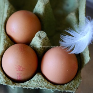 lemon meringue parrot © www.ice-cream-magazine.com