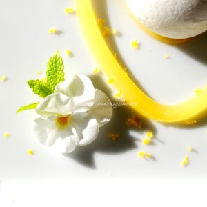 lemon meringue parrot © www.ice-cream-magazine.com