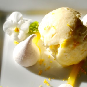 lemon meringue parrot © www.ice-cream-magazine.com