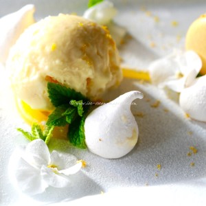 lemon meringue parrot © www.ice-cream-magazine.com