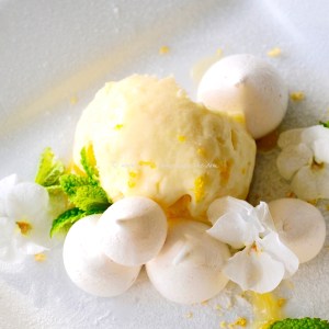 lemon meringue parrot © www.ice-cream-magazine.com