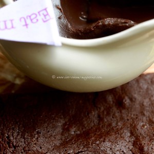 chocolate brownie ice cream © www.ice-cream-magazine.com