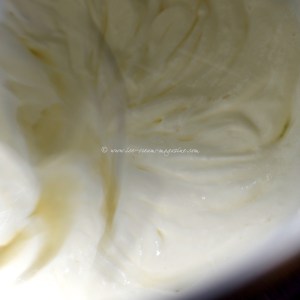 chocolate brownie ice cream © www.ice-cream-magazine.com