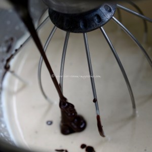 chocolate brownie ice cream © www.ice-cream-magazine.com