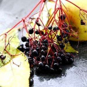 Peerless Pear, ginger bergamot sorbet © www.ice-cream-magazine.com