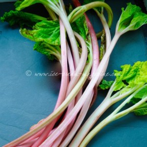 Rhubarb and ginger iced mousse cake  © www.ice-cream-magazine.com